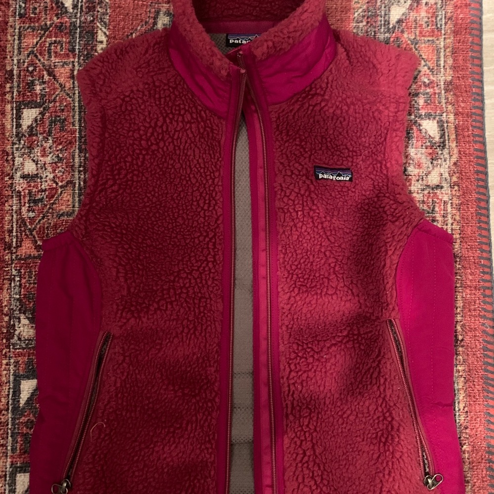 Patagonia retro x vest